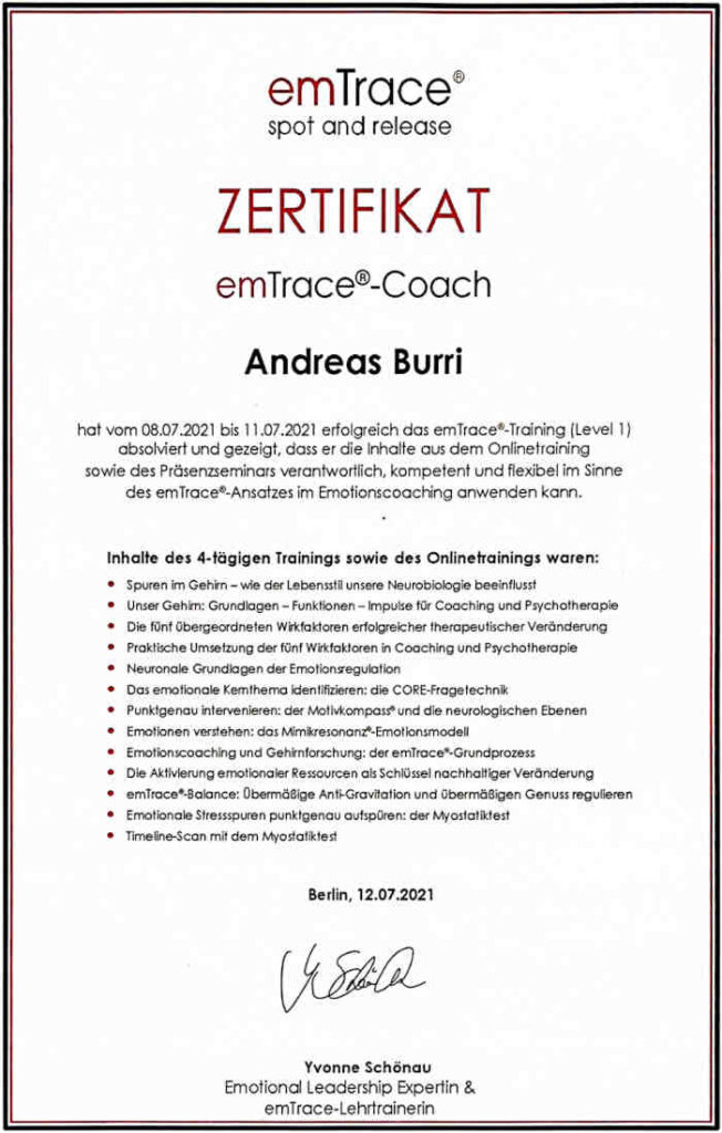 Originalzertifikat emTrace® Level 1