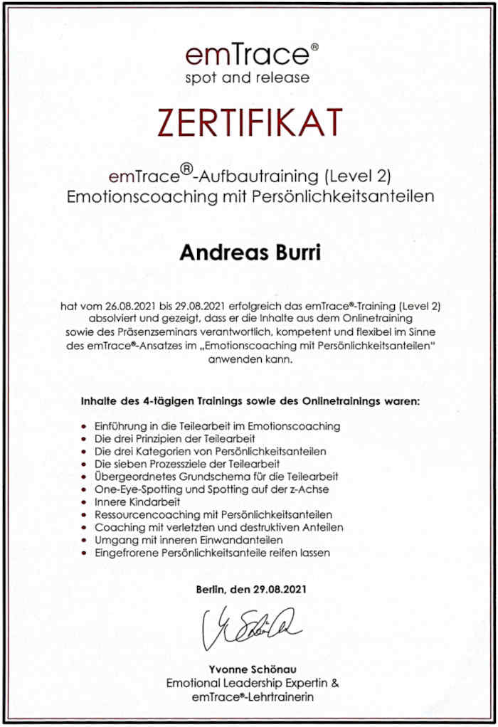 Originalzertifikat emTrace® Level 2