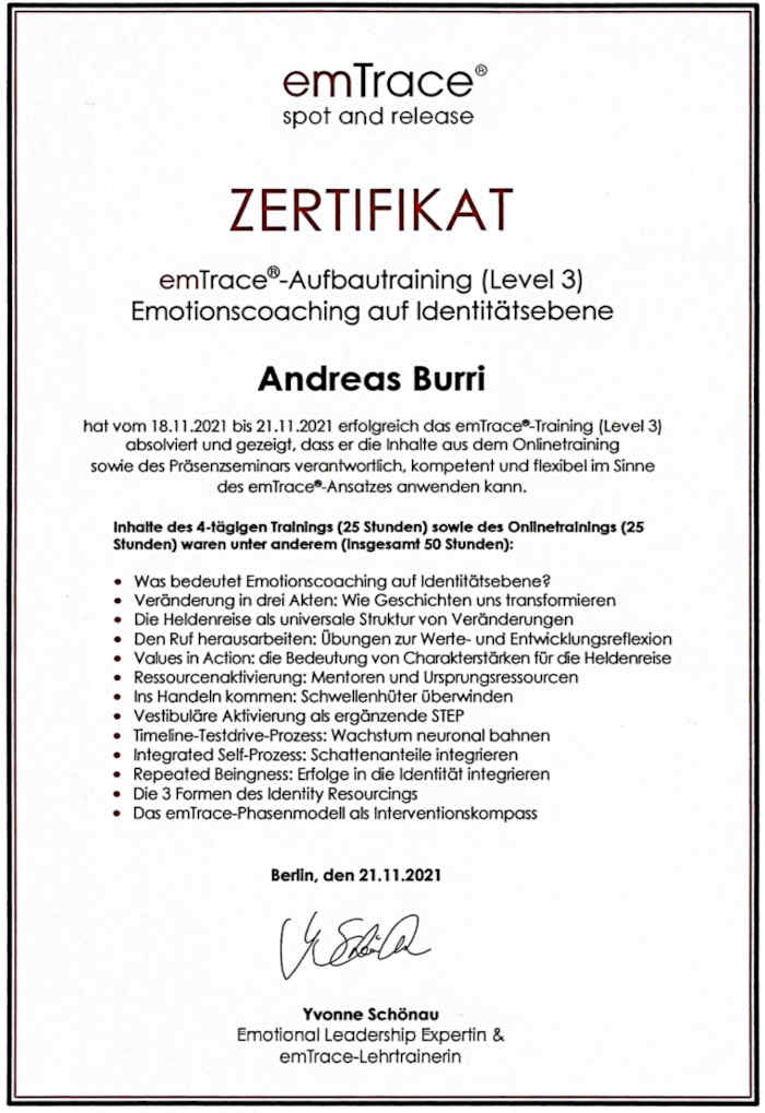 Originalzertifikat emTrace® Level 3