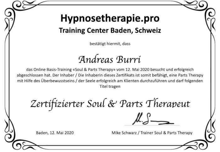 Originalzertifikat Soul & Parts Therapy